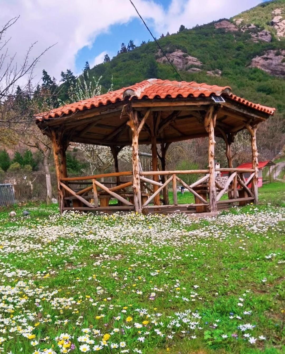 Michel Studios Kalavryta Exteriör bild